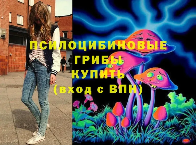 Псилоцибиновые грибы Magic Shrooms  гидра маркетплейс  Бавлы  нарко площадка клад  цены  